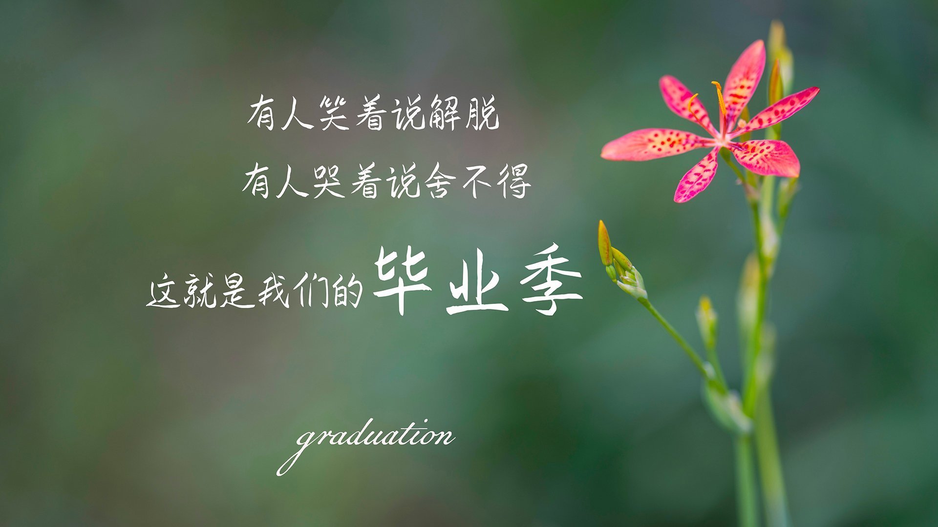 广州电子产品公司（广州电子有限公司有哪些）